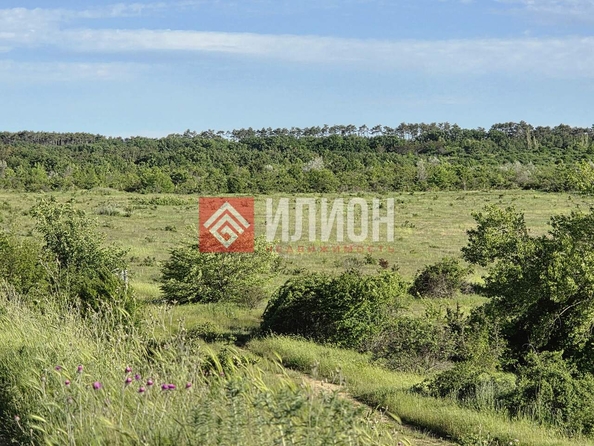 
  Продается земельный участок 800 соток. Фото 6.