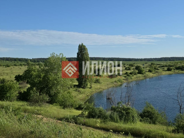 
  Продается земельный участок 800 соток. Фото 7.
