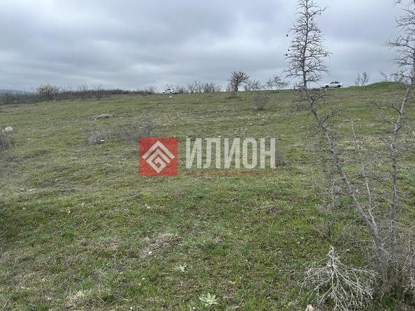 
  Продается земельный участок 6 соток. Фото 3.
