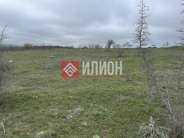 
  Продается земельный участок 6 соток. Фото 4.