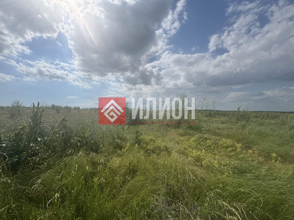 
  Продается земельный участок 64 сотки. Фото 4.