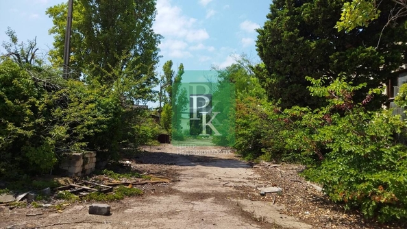 
  Сдается производственное помещение 1000 м². Фото 12.