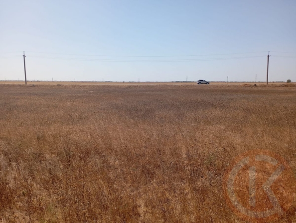 
  Продается земельный участок 10 соток. Фото 6.