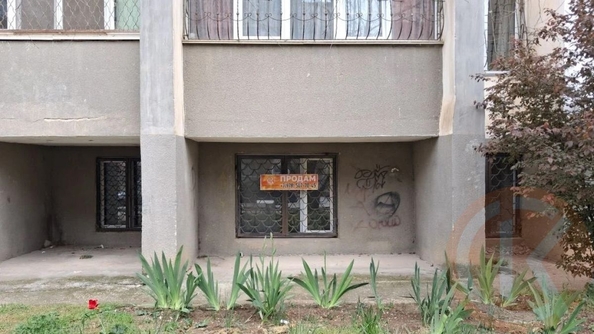 
  Продается универсальное помещение 240 м². Фото 29.