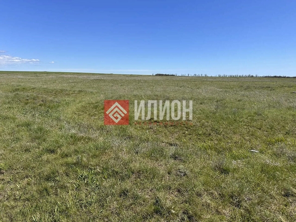 
  Продается земельный участок 6 соток. Фото 7.