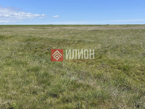 
  Продается земельный участок 6 соток. Фото 8.