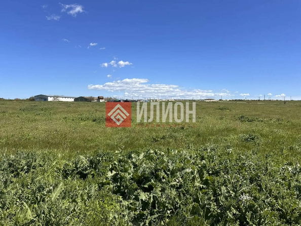 
  Продается земельный участок 6 соток. Фото 6.