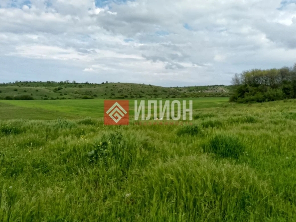 
  Продается земельный участок 6 соток. Фото 4.