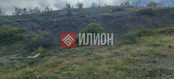 
  Продается земельный участок 10 соток. Фото 2.