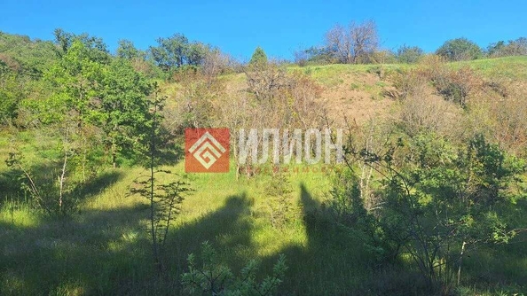
  Продается земельный участок 10 соток. Фото 2.