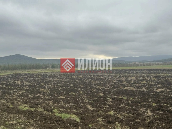 
  Продается земельный участок 500 соток. Фото 2.