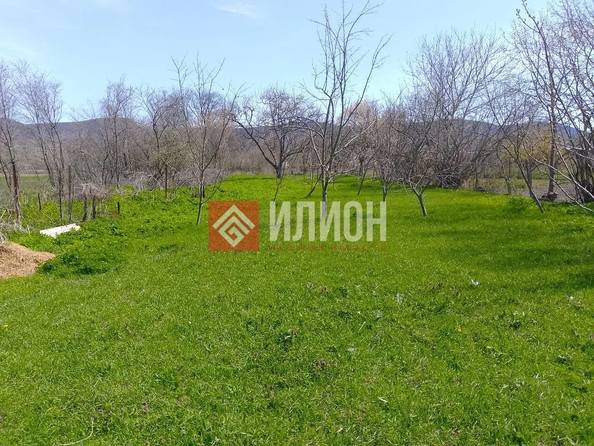
  Продается земельный участок 25 соток. Фото 6.