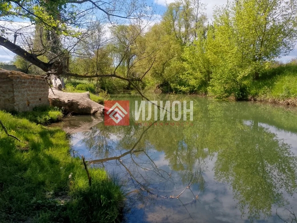 
  Продается земельный участок 25 соток. Фото 9.