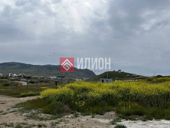 
  Продается земельный участок 6 соток. Фото 4.