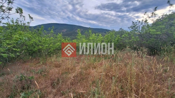 
  Продается земельный участок 5 соток. Фото 12.