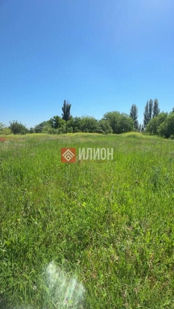 
  Продается земельный участок 58 соток. Фото 1.