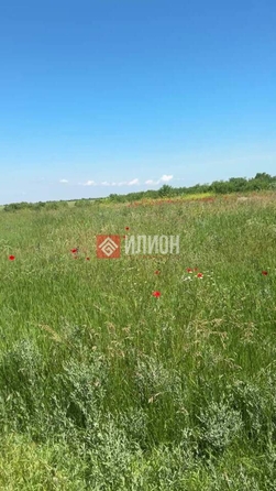 
  Продается земельный участок 58 соток. Фото 3.