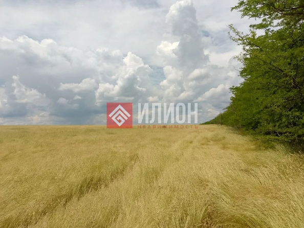 
  Продается земельный участок 2810 соток. Фото 5.