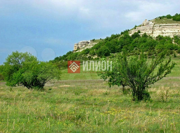 
  Продается земельный участок 150 соток. Фото 2.