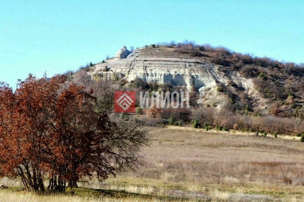 
  Продается земельный участок 150 соток. Фото 10.