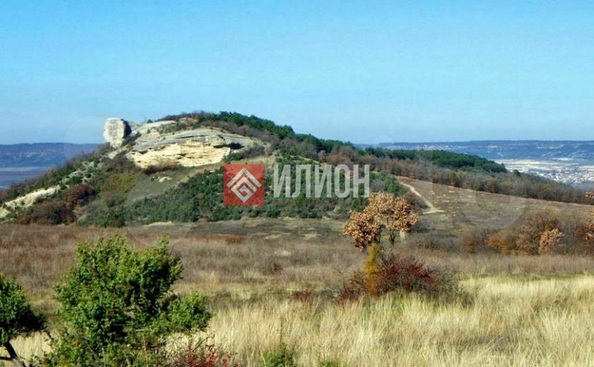 
  Продается земельный участок 150 соток. Фото 11.