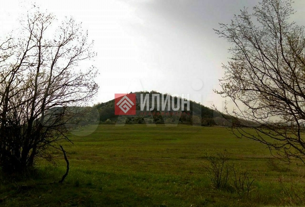 
  Продается земельный участок 150 соток. Фото 14.