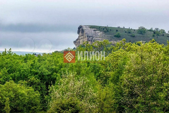 
  Продается земельный участок 150 соток. Фото 15.