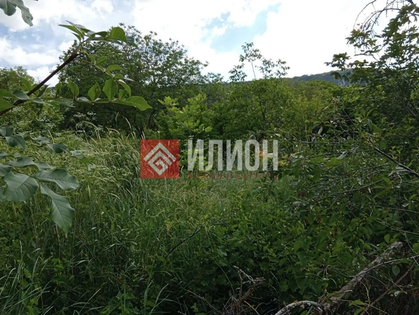 
  Продается земельный участок 11.2 соток. Фото 6.