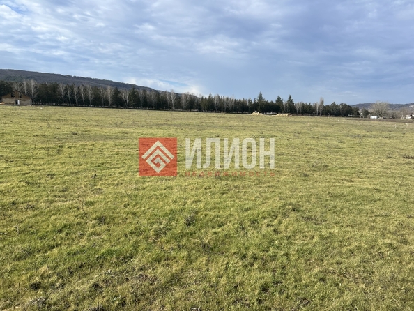 
  Продается земельный участок 6 соток. Фото 5.