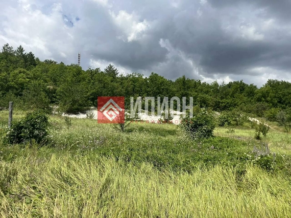 
  Продается земельный участок 9 соток. Фото 3.
