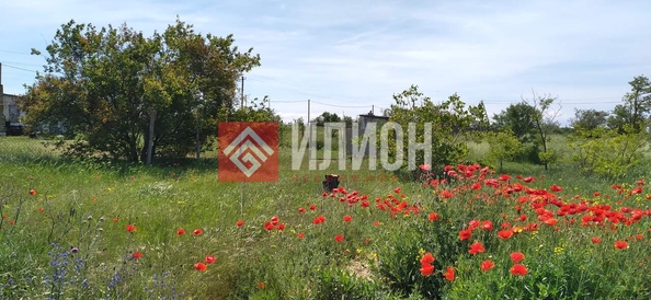 
  Продается земельный участок 6 соток. Фото 2.