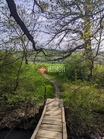 
  Продается земельный участок 260 соток. Фото 6.