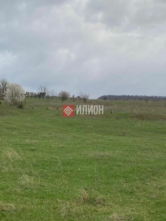 
  Продается земельный участок 430 соток. Фото 2.