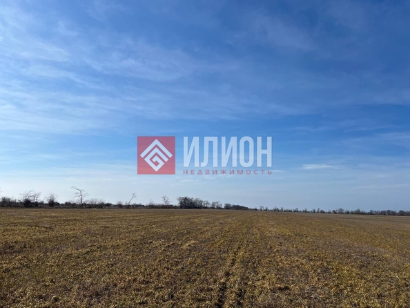 
  Продается земельный участок 6 соток. Фото 2.