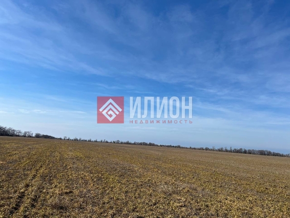 
  Продается земельный участок 6 соток. Фото 3.