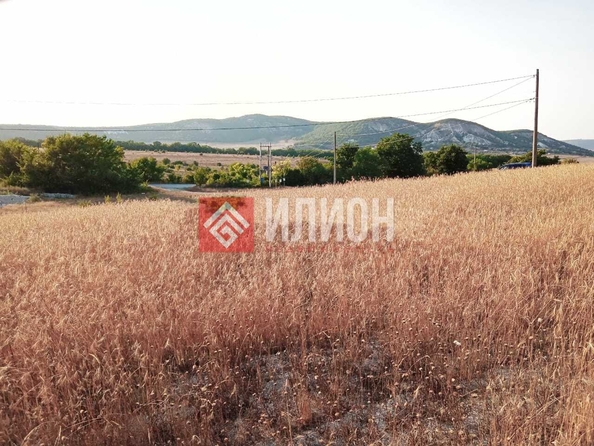 
  Продается земельный участок 101 сотка. Фото 2.