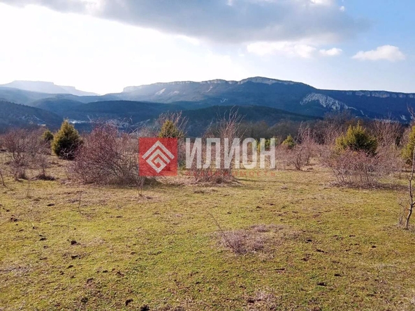 
  Продается земельный участок 100 соток. Фото 2.