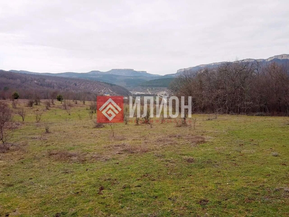 
  Продается земельный участок 100 соток. Фото 5.