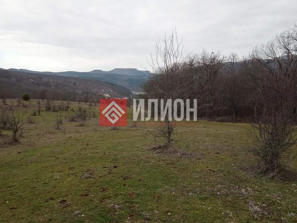 
  Продается земельный участок 100 соток. Фото 6.
