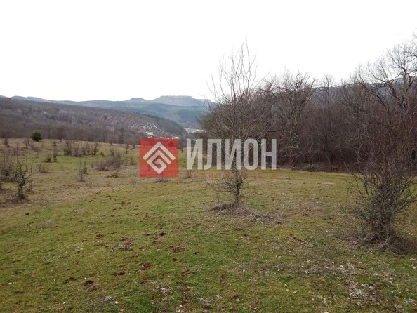 
  Продается земельный участок 100 соток. Фото 7.