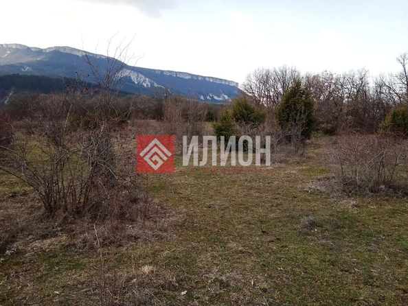 
  Продается земельный участок 100 соток. Фото 12.