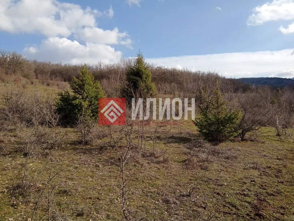 
  Продается земельный участок 100 соток. Фото 14.