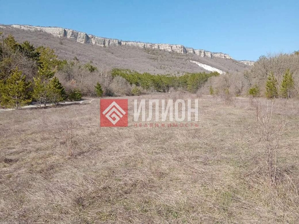
  Продается земельный участок 115 соток. Фото 4.