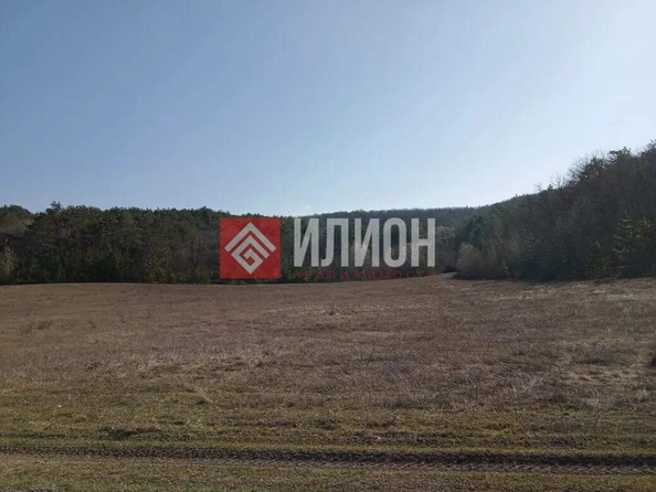 
  Продается земельный участок 115 соток. Фото 12.