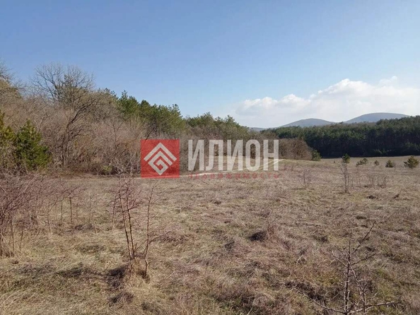 
  Продается земельный участок 115 соток. Фото 24.