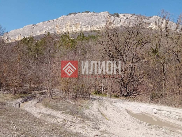 
  Продается земельный участок 115 соток. Фото 28.