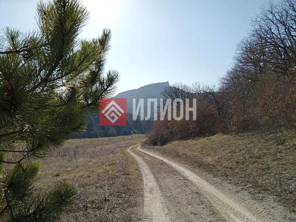 
  Продается земельный участок 115 соток. Фото 31.