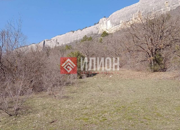 
  Продается земельный участок 115 соток. Фото 38.
