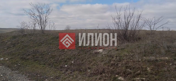 
  Продается земельный участок 8 соток. Фото 6.