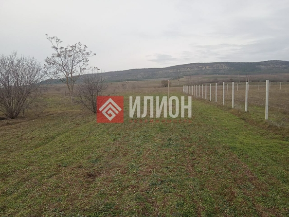 
  Продается земельный участок 79 соток. Фото 5.